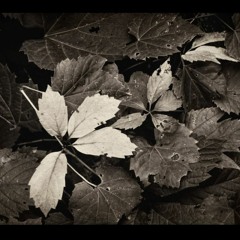 Herhangi - Tristesse