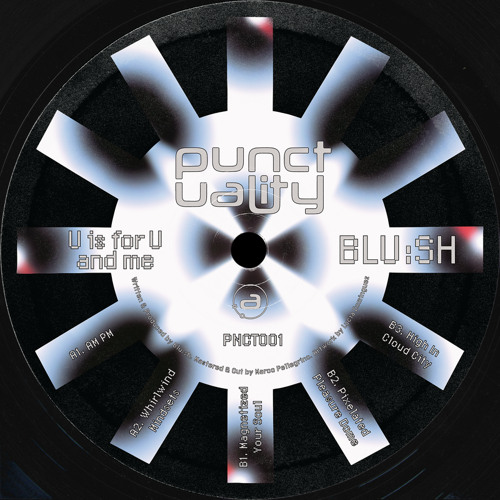 pi pi pi premiere: Blu:sh - Pixelated Pleasure Dome (Punctuality)