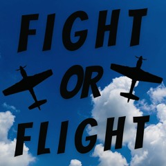 Fight or Flight -- The P-51 Mustang