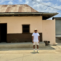 ARN4L2 for COSMO DJ Session