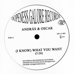 Looking Back (Tornado Wallace Remix)