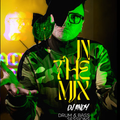 DJ ANDY - IN THE MIX SERIES VOL.5