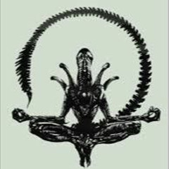 The Sheivae Project - Secret Mind