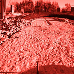 With Love, From Trance