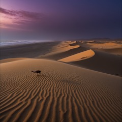 Sands of the Liminal Sun