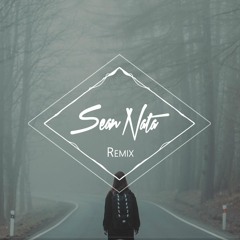 Martin Garrix & David Guetta - So Far Away (Sean Nata Remix) ft. Jamie Scott & Romy Dya