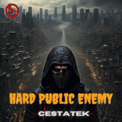 Hard Public Enemy