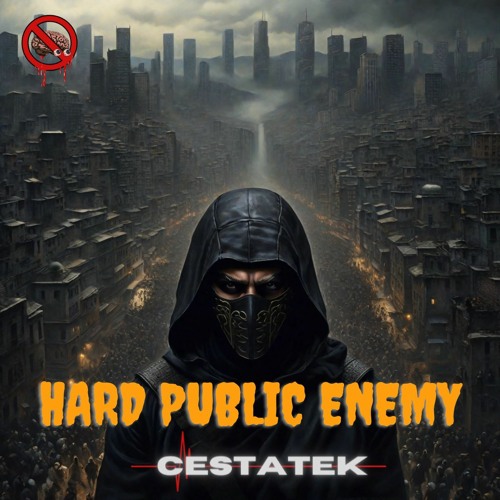 Hard Public Enemy