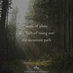 scent of plum(Naviarhaiku 602)