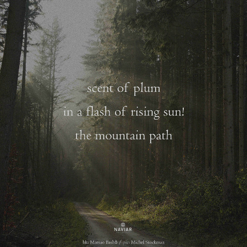 haiku #602: scent of plum / in a flash of rising sun! / the mountain path