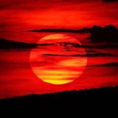 Trapie Donna x Forgeima x Theflexnd_Revenge