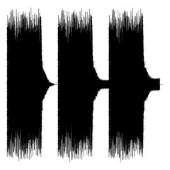 The Grey Pledge / Fragment_8 : Echoes That Refuse to End