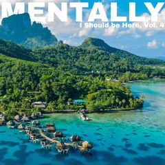 Mentally, I Should be Here, Vol 4