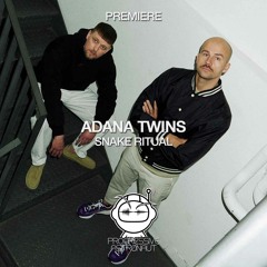 PREMIERE: Adana Twins - Snake Ritual (Original Mix) [TAU]