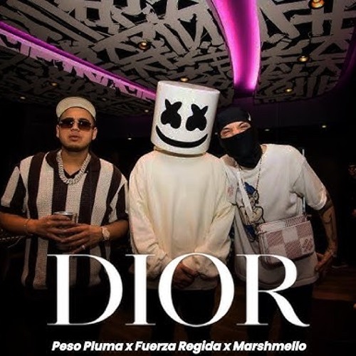 Peso Pluma & Fuerza Regida - UN DIOR
