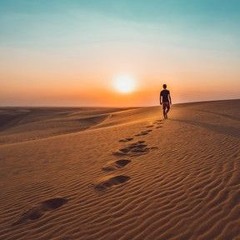 No Struggle Without Pain