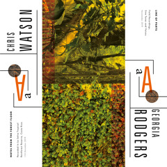 Notes From The Forest Floor
