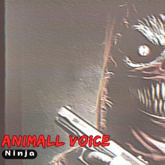 Ninja
