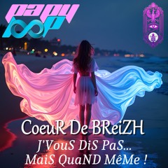 :: CoeuRDeBReiZH - J'VouS DiS PaS... MaiS QuaND MêMe ! ::