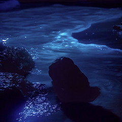 Realm Of Water
