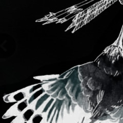 blueee        𓅀        @astra @fushi