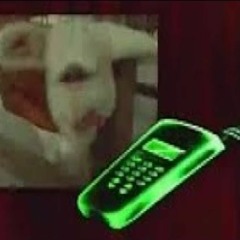 AZEROY 6 MOBILE TERROR