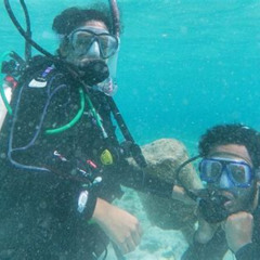 Review Special Price Smallgroup Aruba Scuba Diving For Noncertified Divers