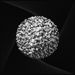 MEQA - Last One