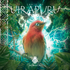 Aiolia - Canto do Uirapuru
