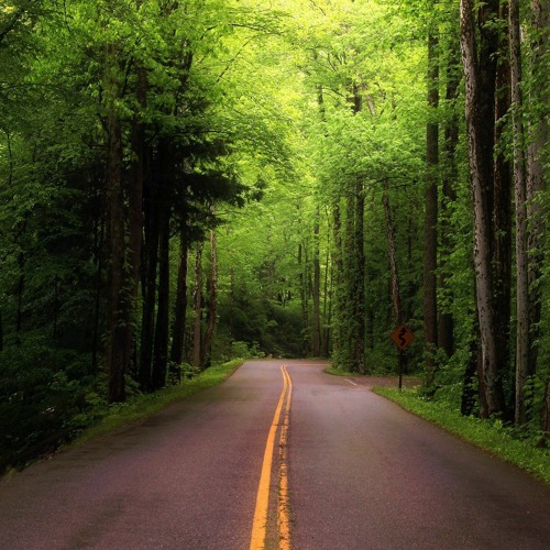 pop music {FREE DOWNLOAD}