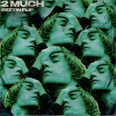 JUSTIN BIEBER - 2 MUCH (OZZTIN FLIP)
