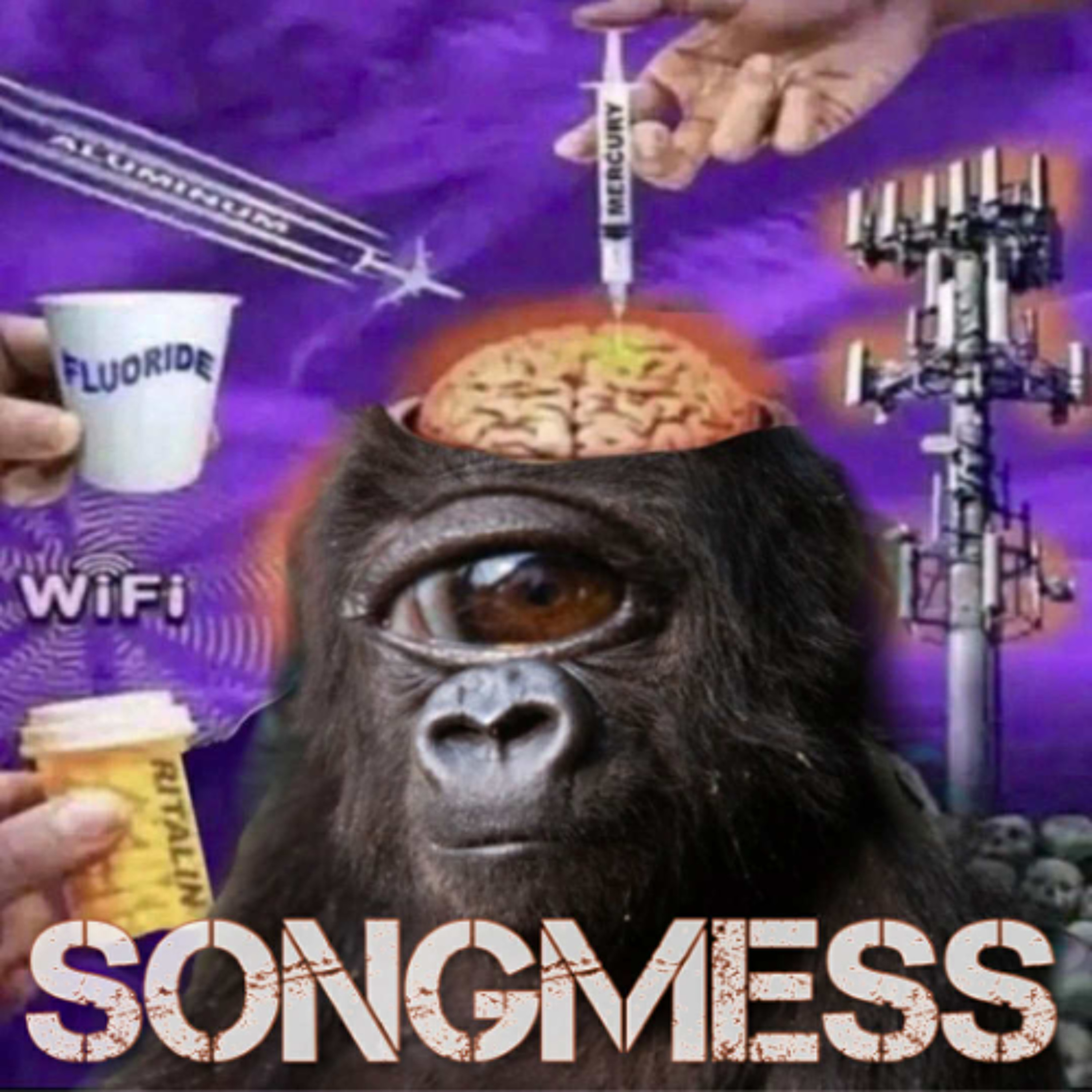 SONGMESS