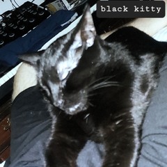 Black Kitty