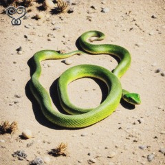 Palace Of Bones (REMIX)