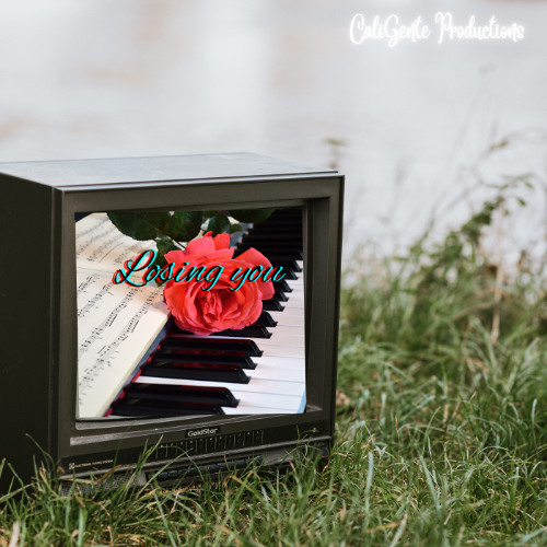 Losing You -BSA Sample Challenge 004