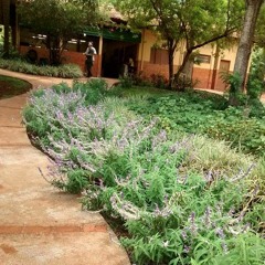 17.06.2022 - Cap. XI - Amar o Próximo Como a Si Mesmo - O Egoísmo (10)