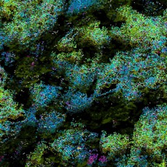 12.28.24B 130