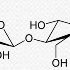 Five o'Clock Tea - Mülch