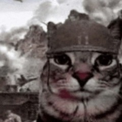 army and war