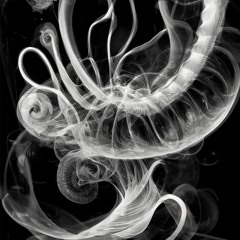 Stereocilia
