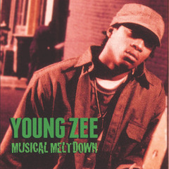 Young Zee - Musical Meltdown (2LP Reissue) Snippets