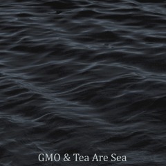 Devonian Extinction (original mix) w/ GMO