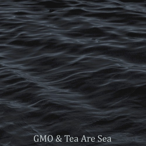 Devonian Extinction (original mix) w/ GMO