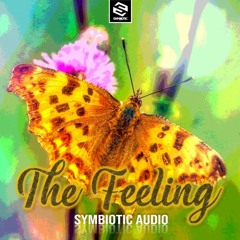 Symbiotic Audio - The Feeling