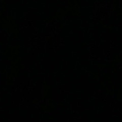 my life is in shambles lmao