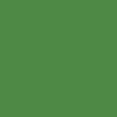 Bruce Banner
