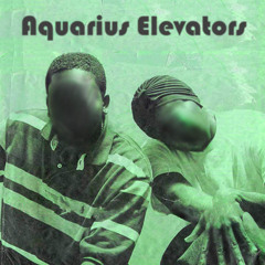 Aquarius Elevators--Outkast vs Boards of Canada--DJ Bigg H