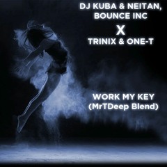 DJ Kuba & Neitan, Bounce Inc x Trinix & One-T - Work My Key (MrTDeep Blend) [BUY = FREE DOWNLOAD]