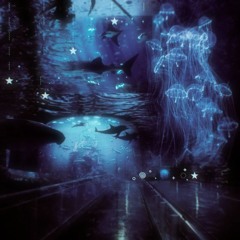 Nod-Krai Main Theme Live Performance _ Genshin Impact  #GenshinImpact   #NodKrai.mp3