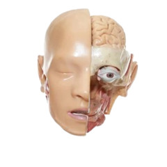 I CANT EVEN HAVE A FUCKING CUP OF TEA BECAUSE OF THESE EVIL ASS FLIES